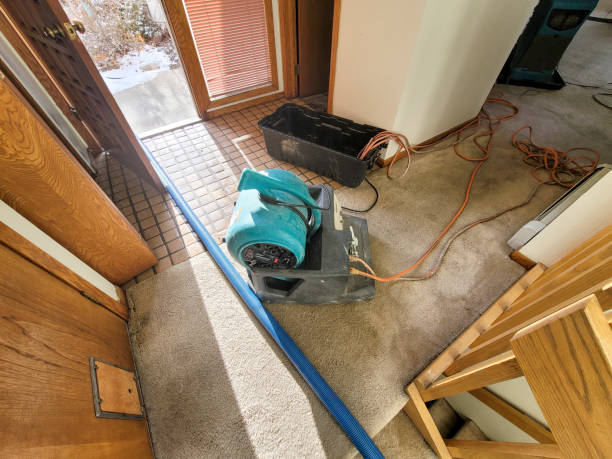 Best 24/7 water damage repair  in Anson, TX
