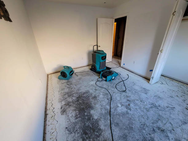 Best Commercial water damage restoration  in Anson, TX