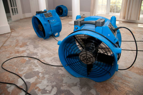 Best Ceiling water damage repair  in Anson, TX